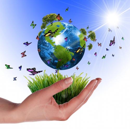 关键词:环保蝴蝶树木绿色地球唯美蝴蝶太阳阳光保护环境生态环保